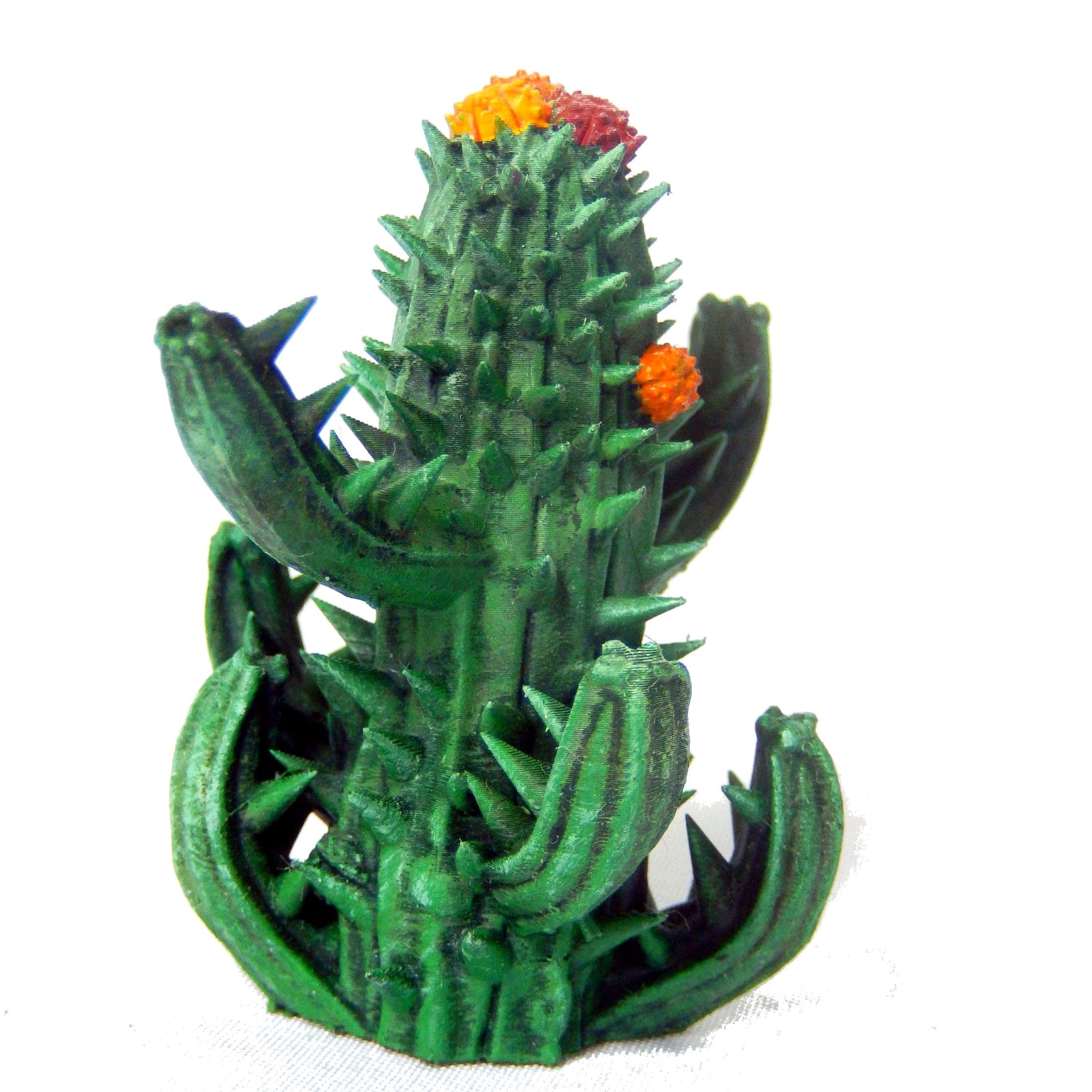 3D file Cactus plant set fantasy scatter terrain (desert plants and ...