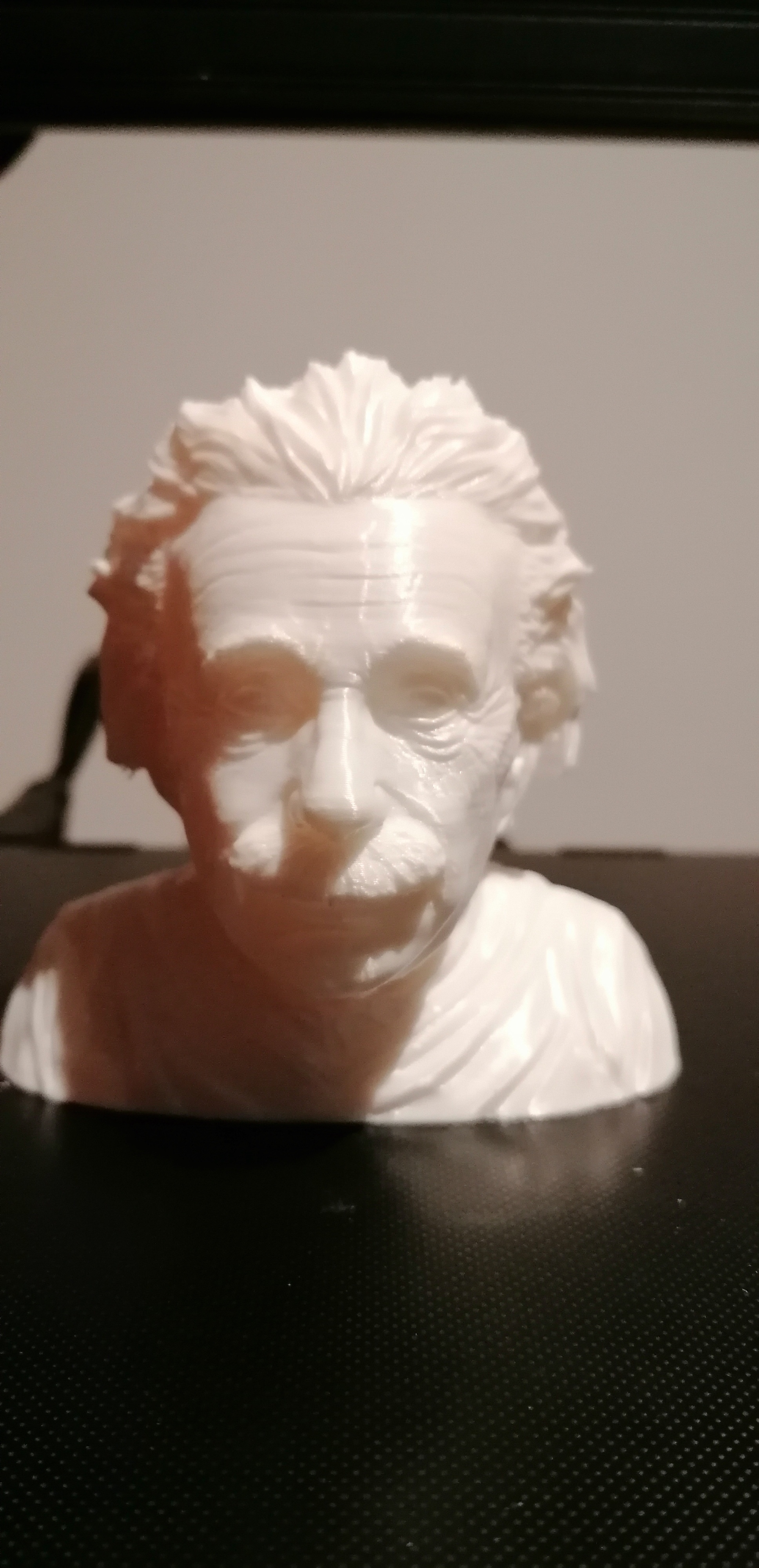 Работа Бюст Альберта Эйнштейна с возможностью распечатки в 3D • Сделано ...