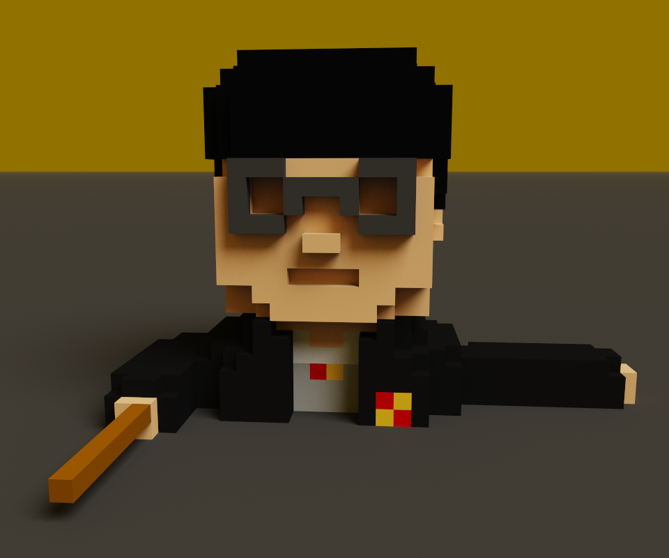 Harry Potter Voxel Model