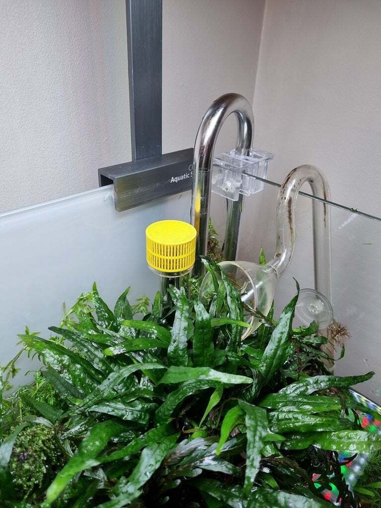 Free STL file 16mm Stainless Lily Pipe Skimmer Shrimp/Snail Guard・Model