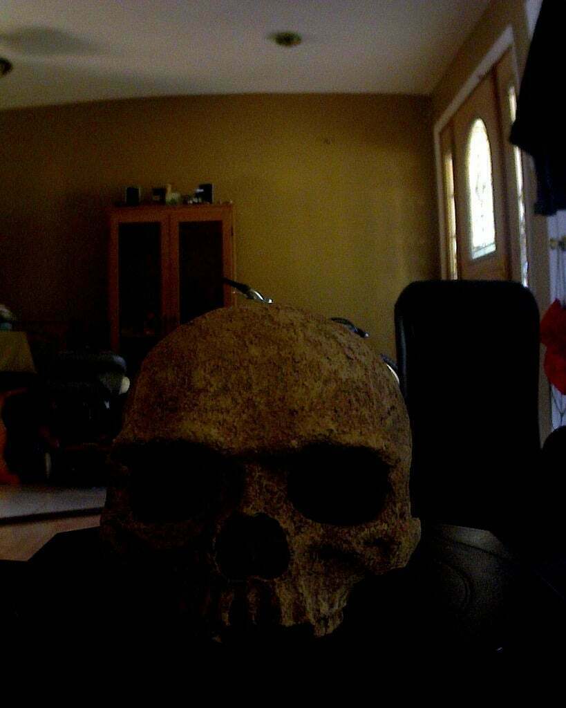 Бесплатный STL файл First digitizer scan - Skull・Дизайн 3D принтера для ...