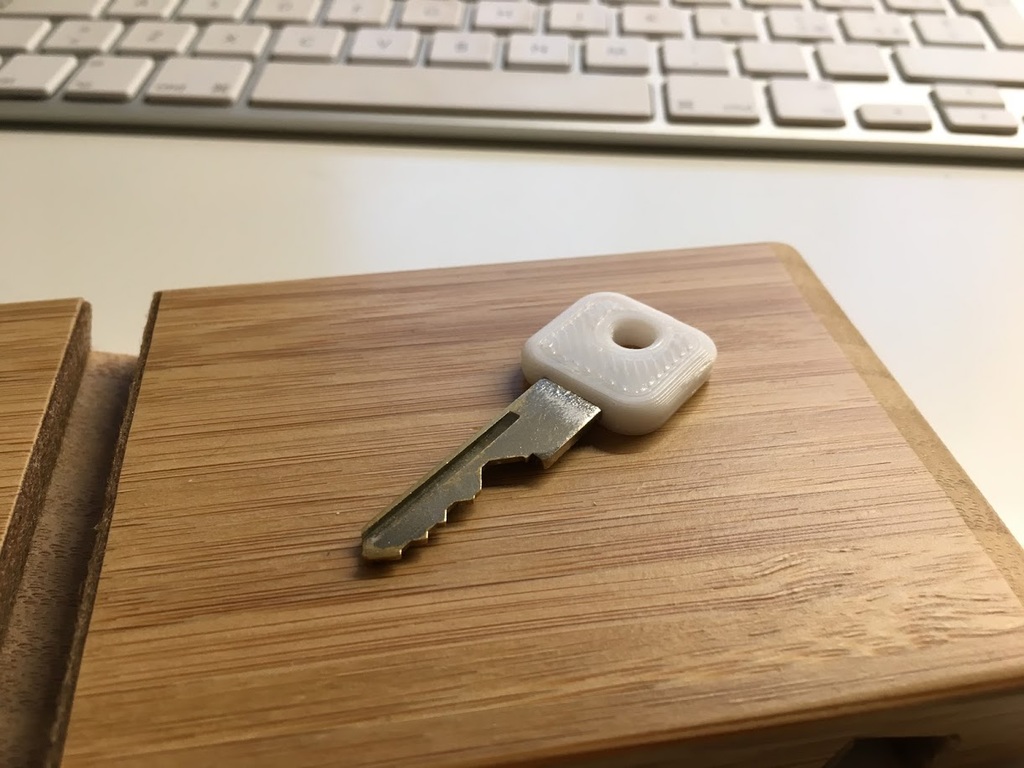 Embedded key. Embedded key