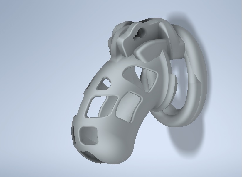 STL file Hugo V1.2 Chastity cage device Size M・3D printable design to ...