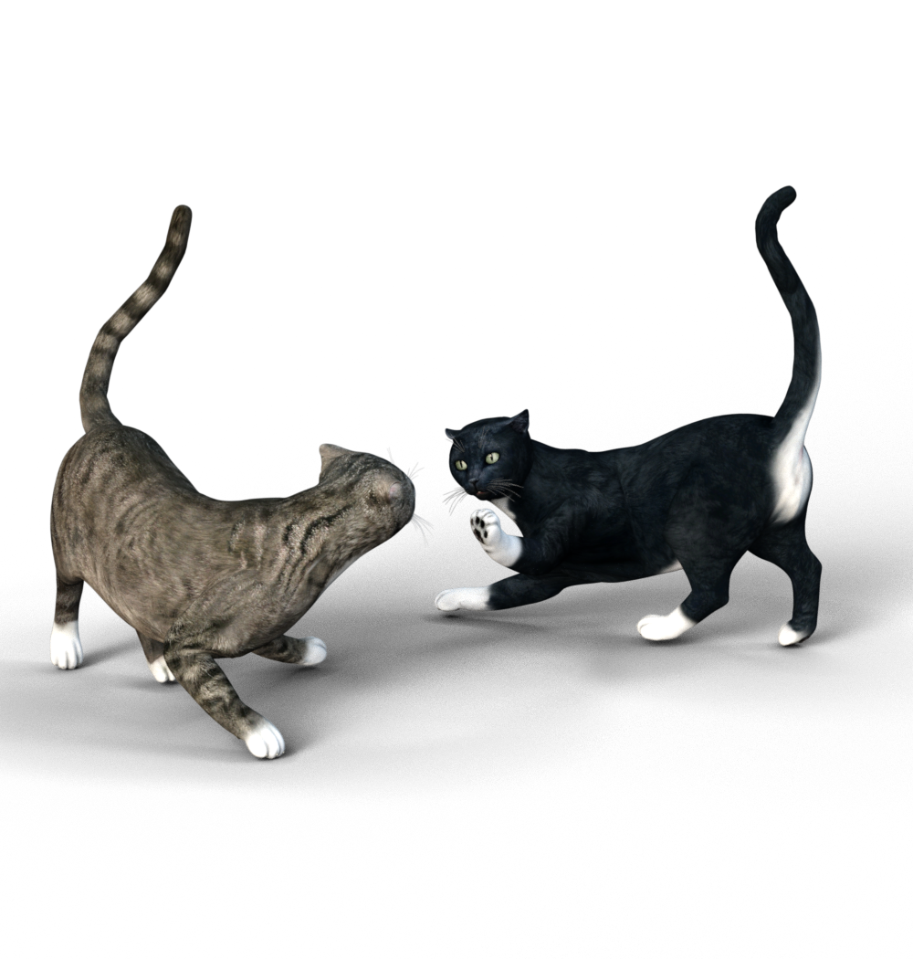 STL file CAT PACK 3ă»3D printing design to downloadă»Cults