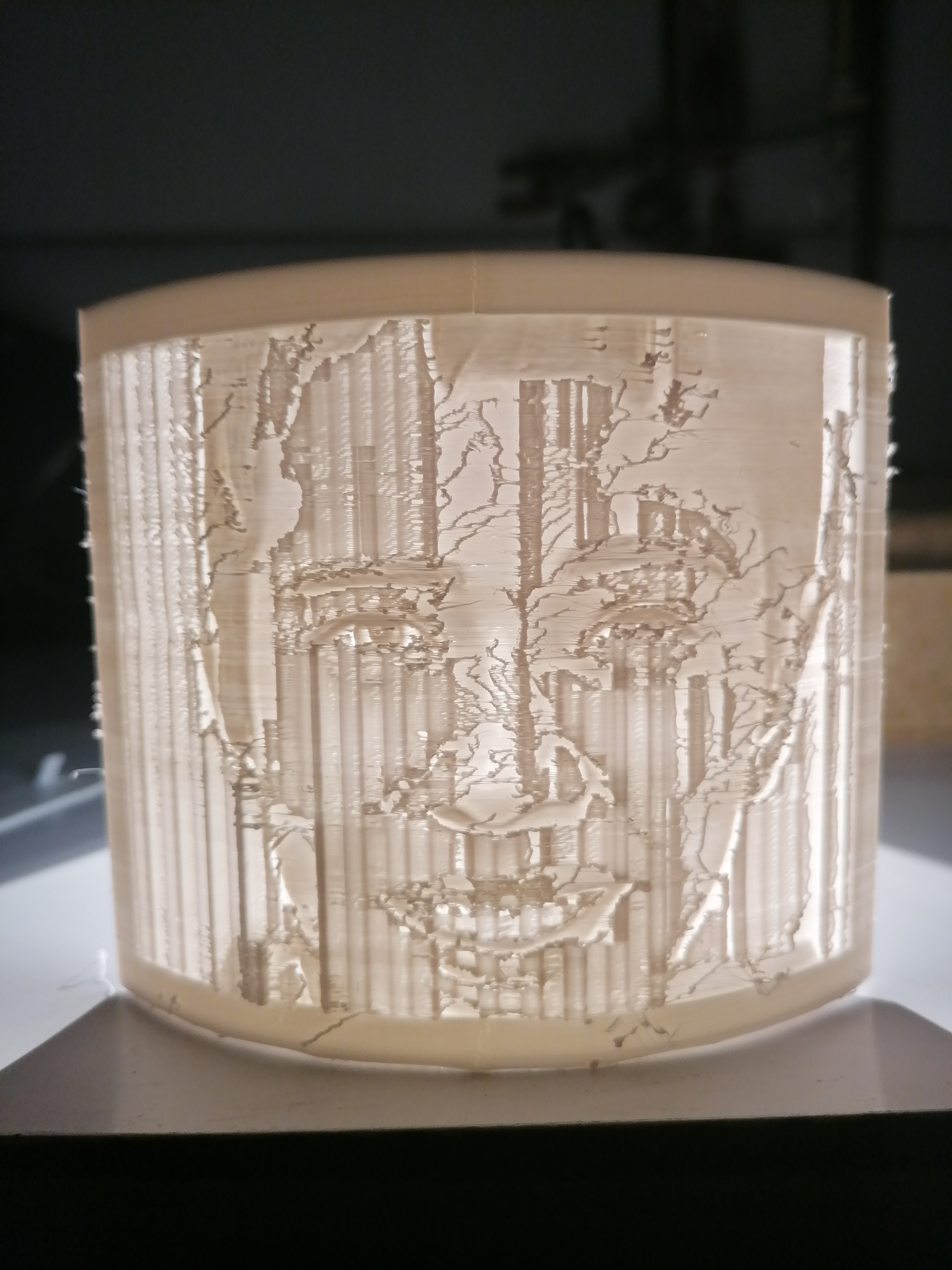 Free STL file NIGHT LIGHT LITHOPHANE FOR THE KID RYAN・3D print model to ...