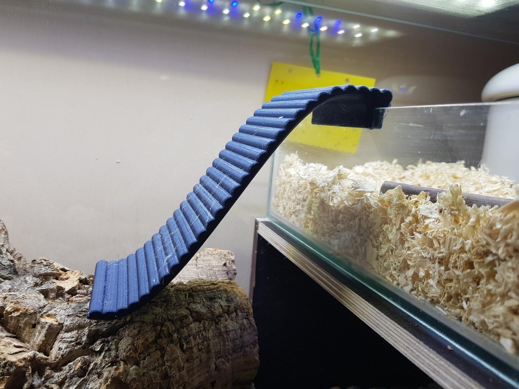 Escalera Colgante Hypeety Para Jaulas - Juguete Acrílico Para Pájaros Y Hámsters, 30 Cm Con Campanas