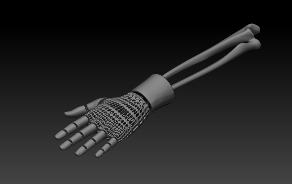 Free STL file Articulated Hand Model・3D printing design to download・Cults