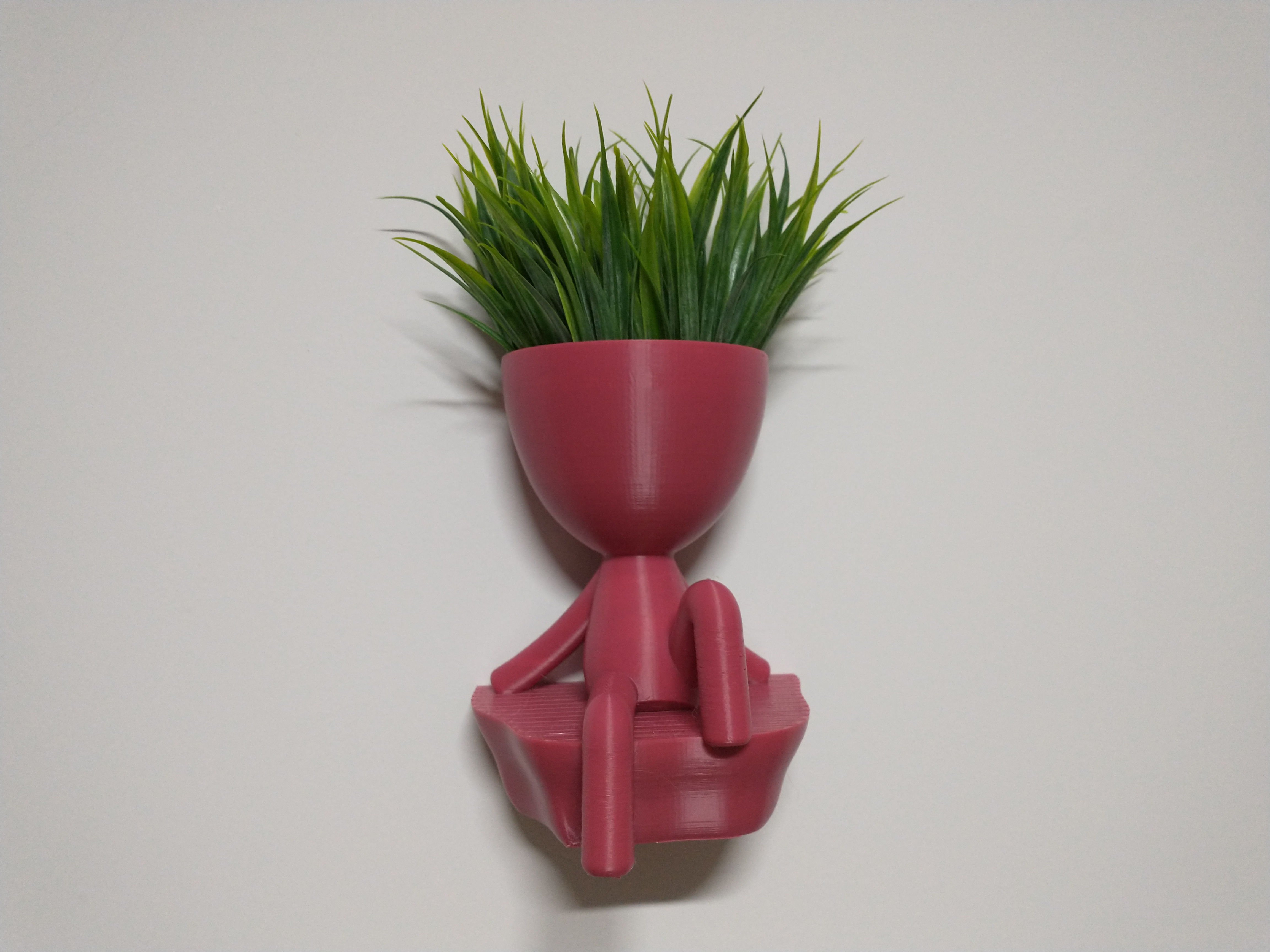 Robert Plant Wall Vase/Planter