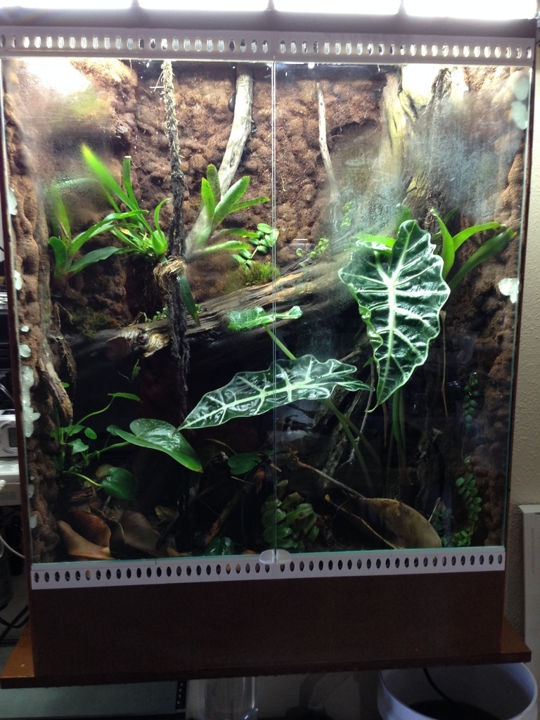 Free 3D file Vivarium Vents With Door Frame・3D printable model to download・Cults