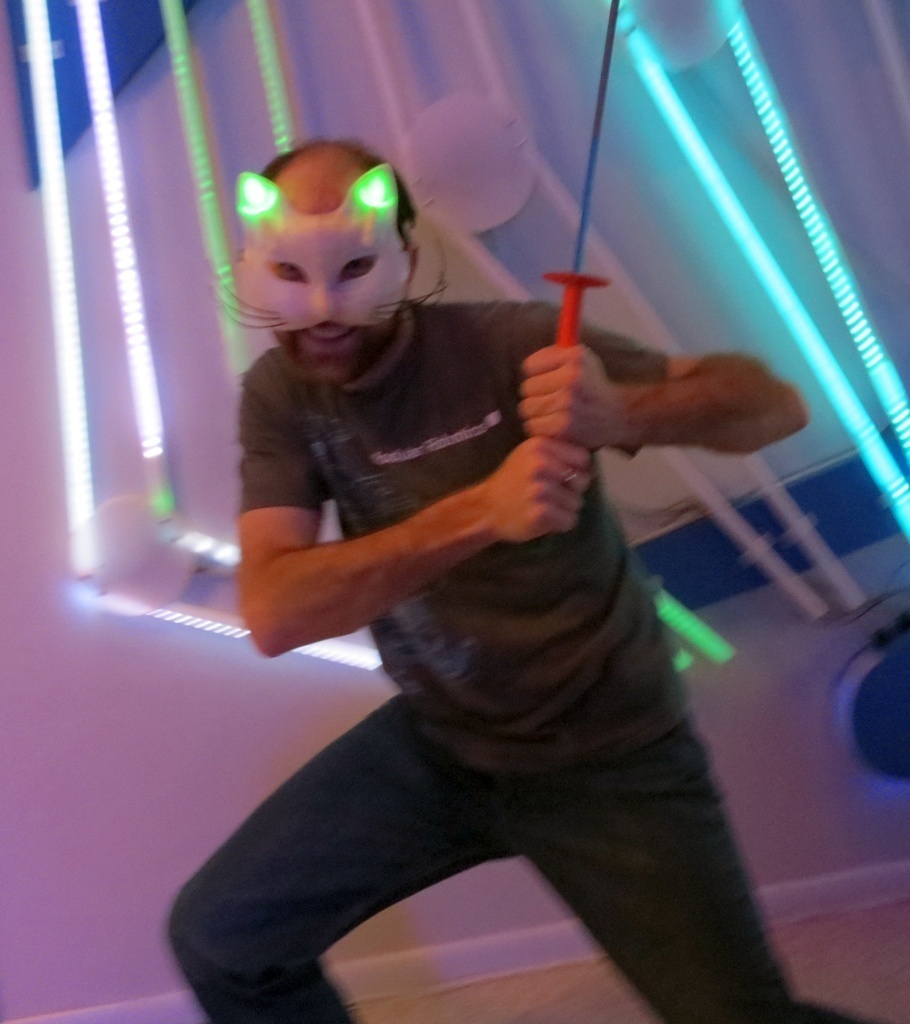 Free 3D file LED Cat Masquerade Mask・3D printer design to download・Cults