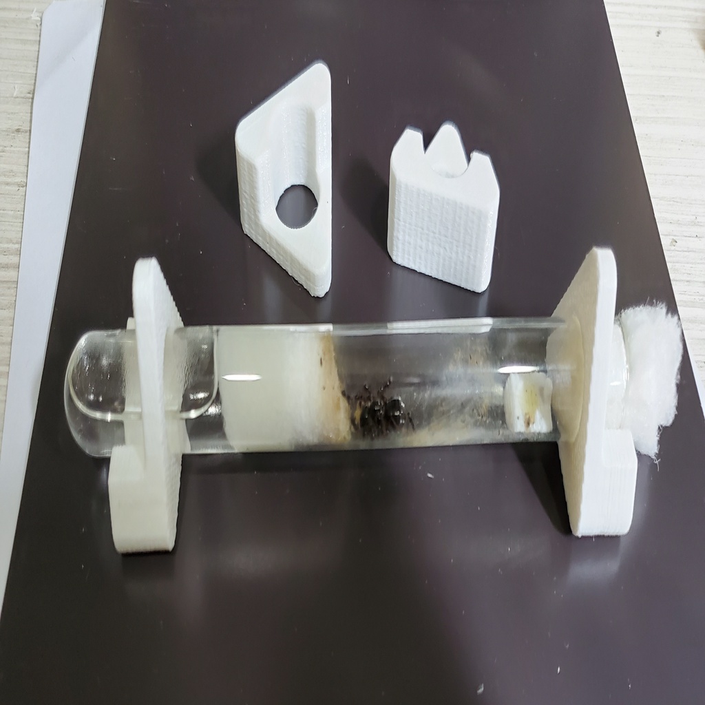 Free 3D file Test Tube Rack for Antkeeping・Template to download and 3D