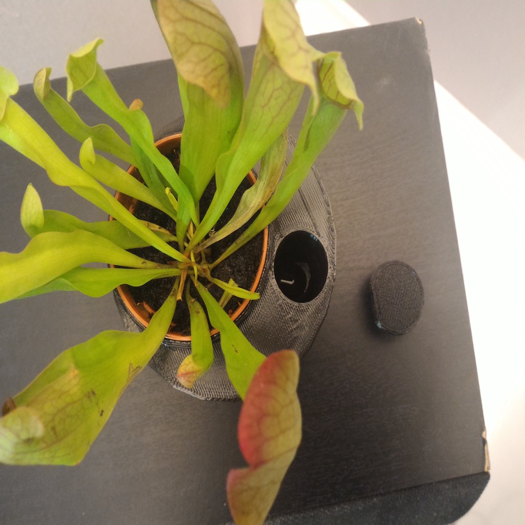 Free 3D file SelfWatering Planter (for carnivorous plants)・3D printer