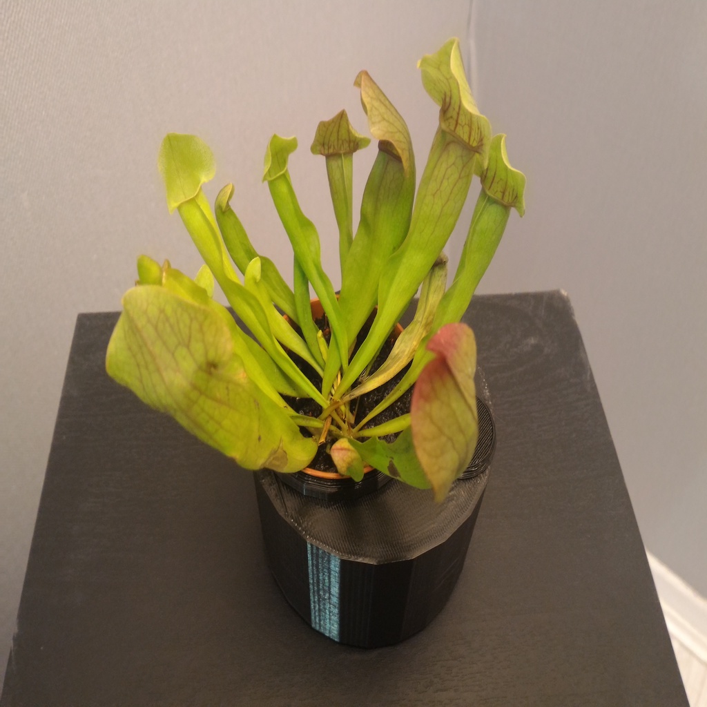 Free 3D file SelfWatering Planter (for carnivorous plants)・3D printer