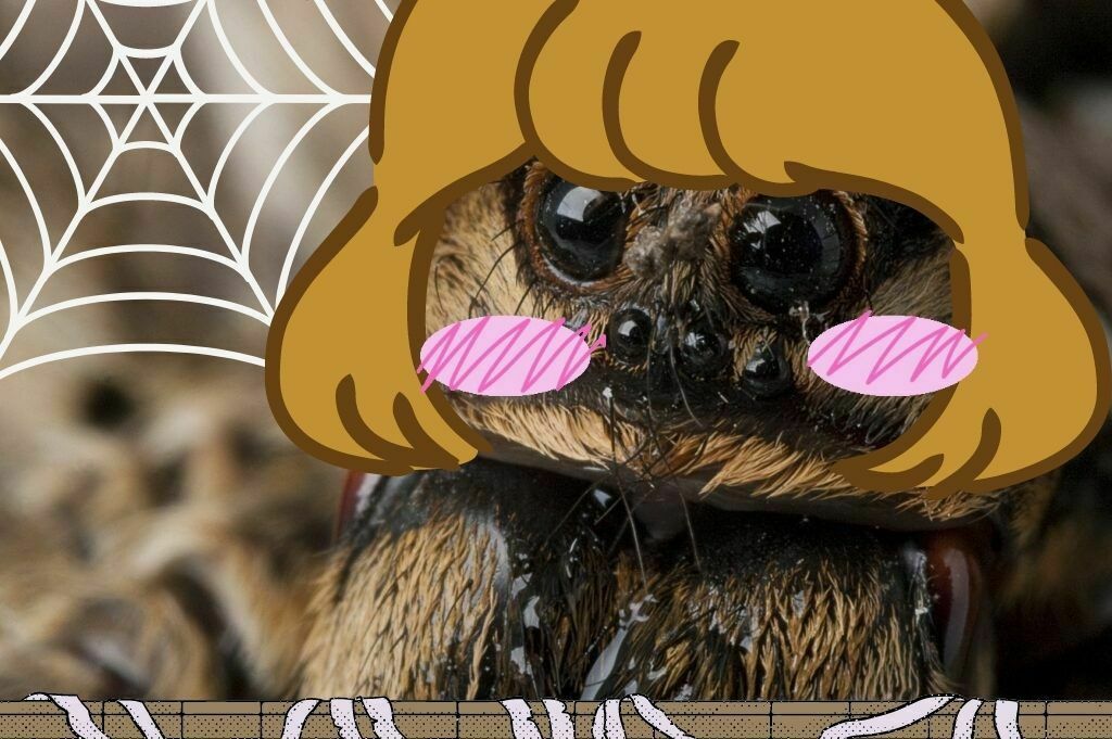 Monlobo Fichier 3D gratuit Araña Lobo 2D・Plan à télécharger et à imprimer en 3D ...