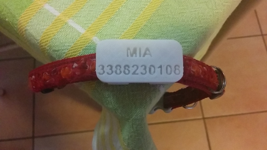 Collana con targhetta e iniziale - Phy Gioielli