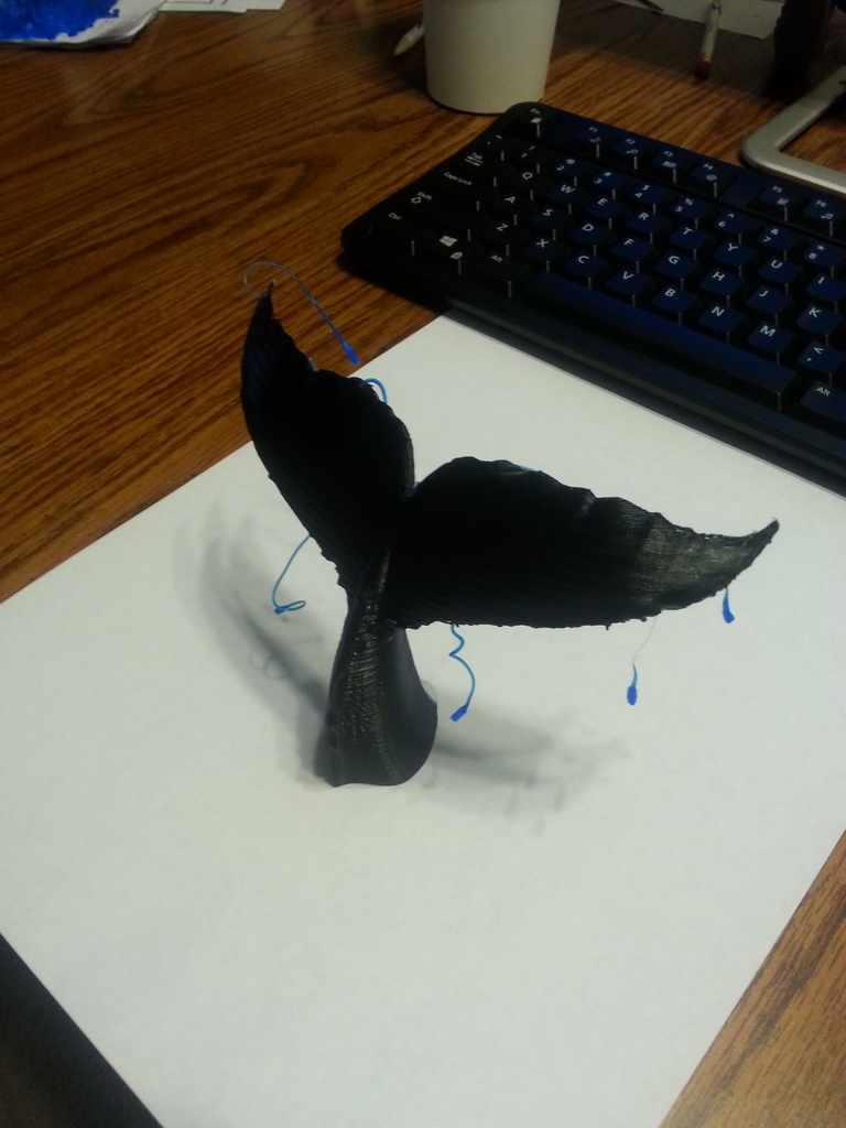 Free 3D file WhaleTail・3D printer model to download・Cults