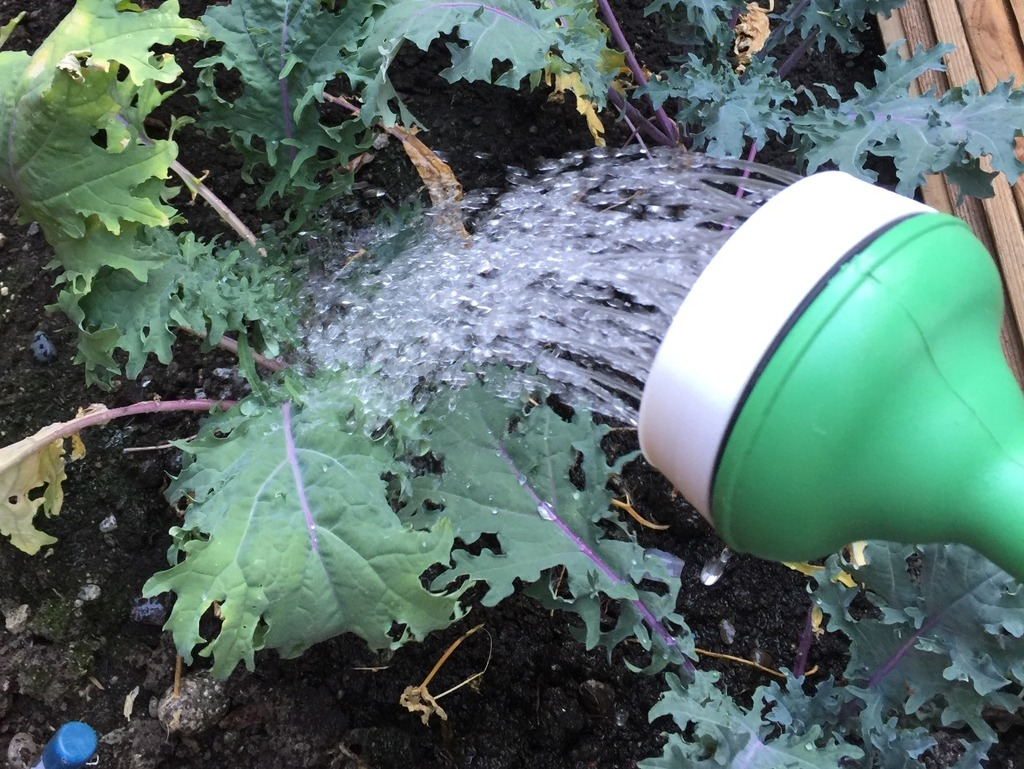 Free 3D file Watering Can Spout Replacement・3D printing design to