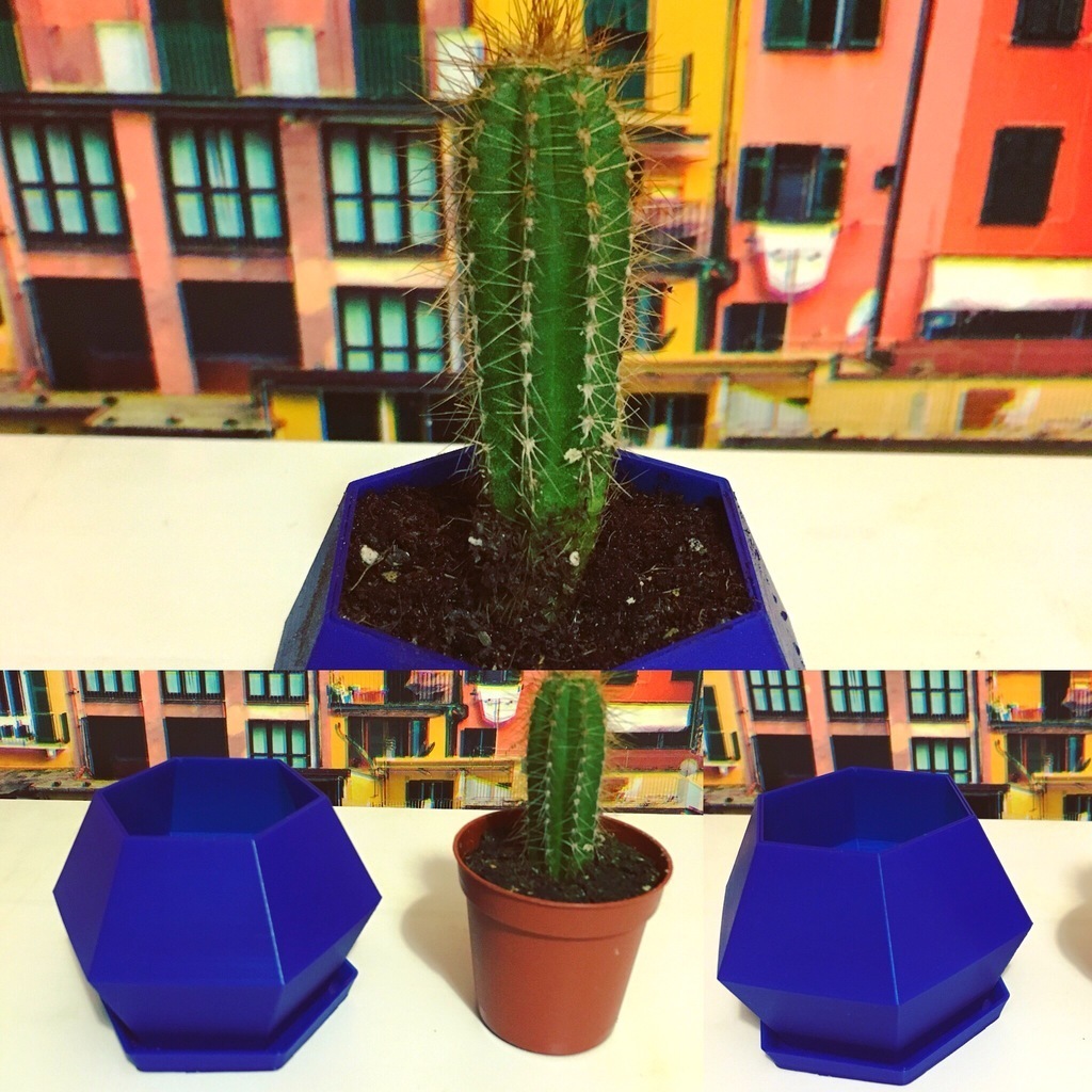 Free 3D file Hex plate for hex pot・Template to download and 3D print・Cults