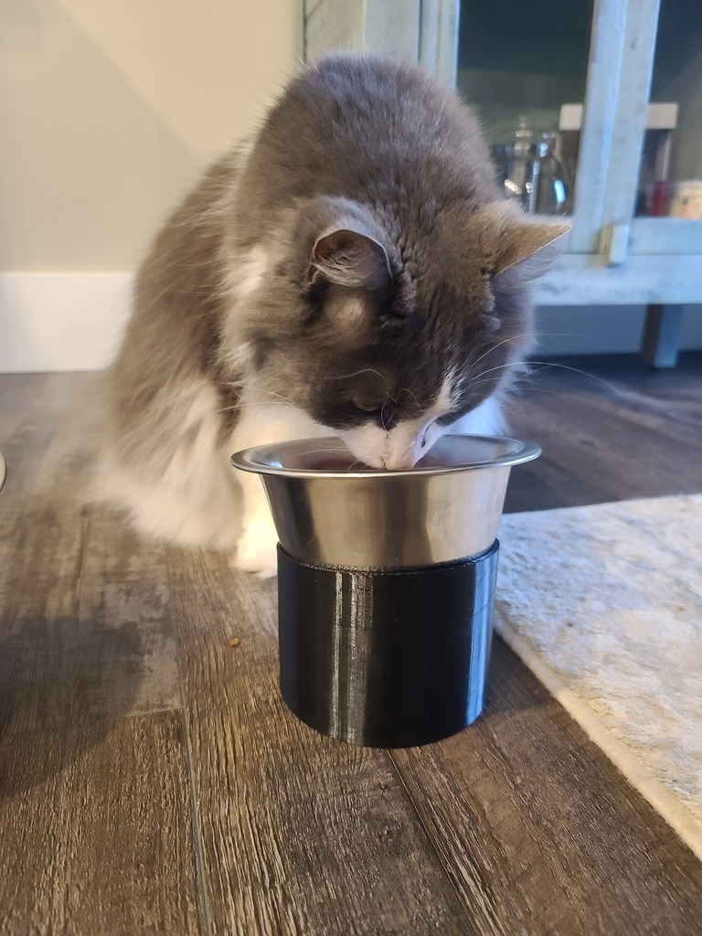 Free 3D file Angled Cat Bowl Riser・3D printing template to download・Cults