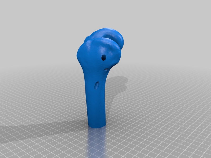 Free 3D file Femur, tibia and fibula with tunnels for cord to replicate ...