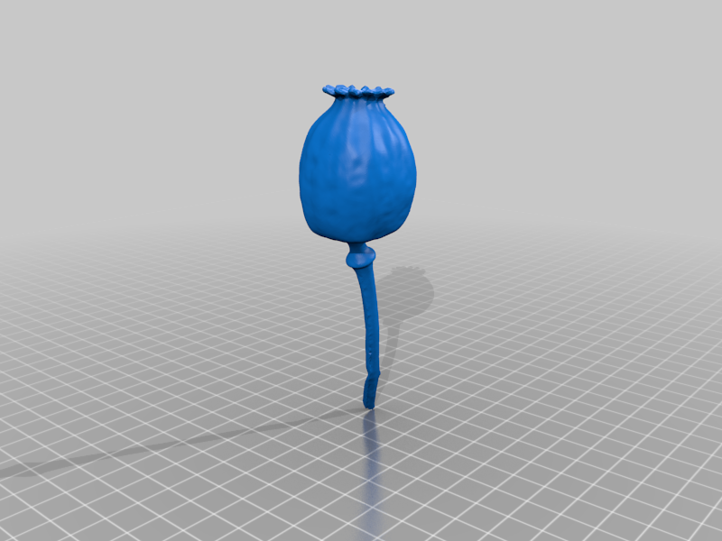 fichier-3d-gratuit-coquelicot-design-pour-imprimante-3d