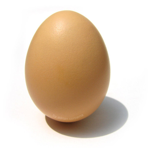 3D egg