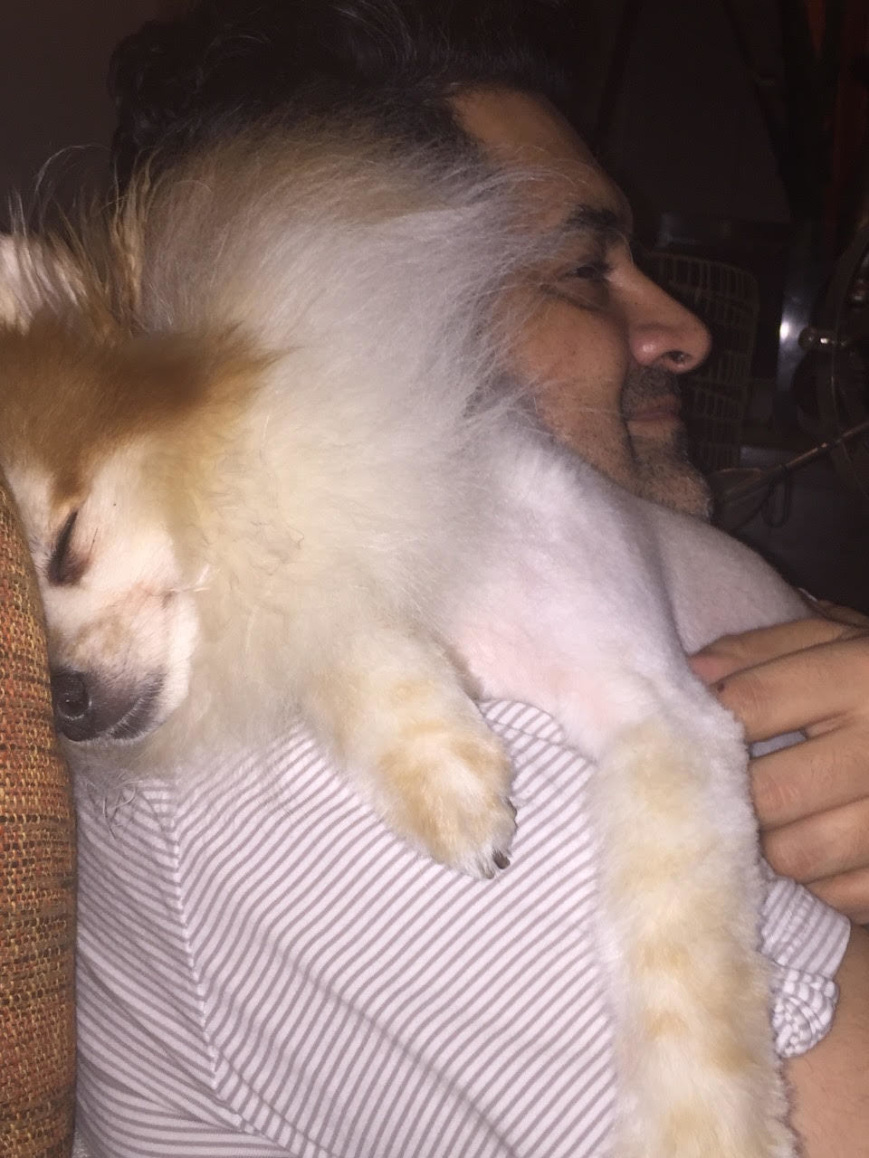 3D printable HODOR DOOR STOP GAME OF THRONES • made with 3d touch by