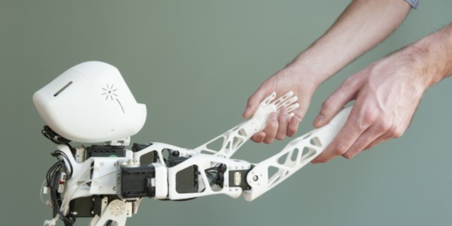 inria bordeaux poppy project robot humanoide 3D printing printed print impression fichier cults cults3D 3